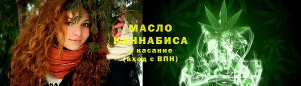 твердый Дмитров