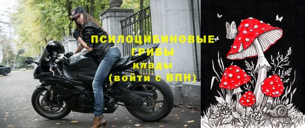МДПВ Дмитровск