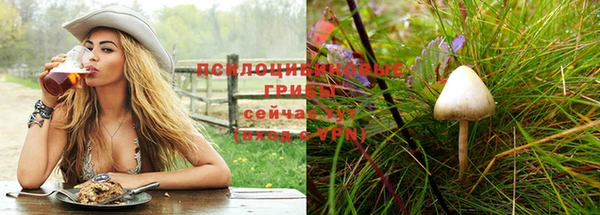МДПВ Дмитровск