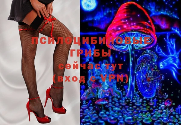 МДПВ Дмитровск