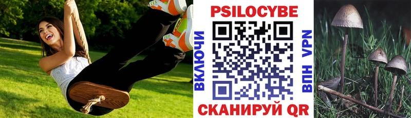 Галлюциногенные грибы Psilocybe Спасск-Рязанский